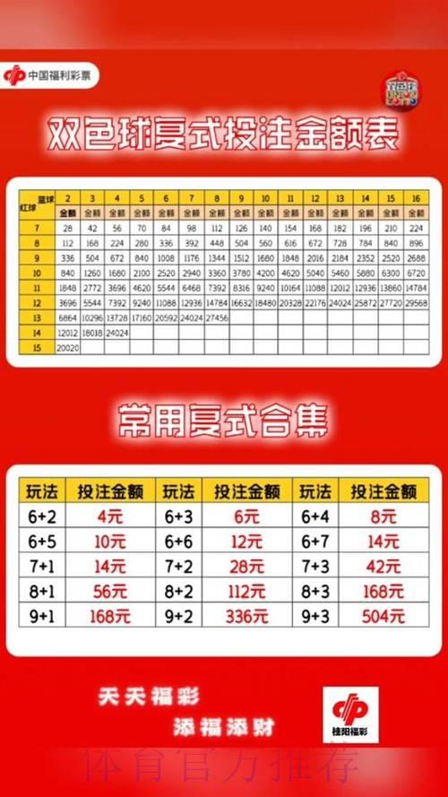世界杯复式投注全攻略：策略与技巧深度解读